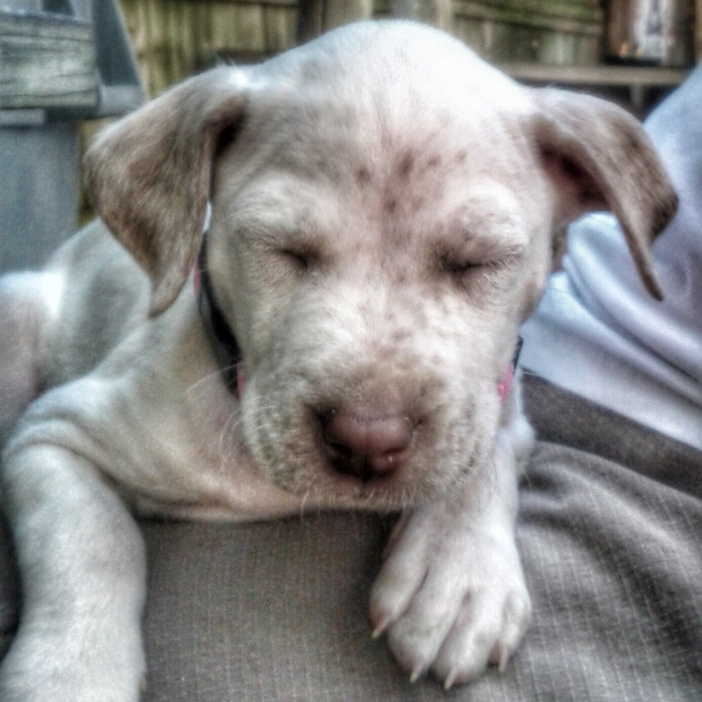 Meet your Posher, Tutu